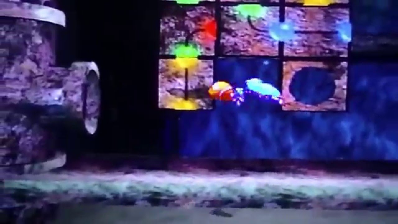 Finding Nemo Walkthrough Walkthrough Part 9 Mask Search PS2 YouTube finding-nemo-walkthrough-walkthrough-part-9-mask-search-ps2-youtube