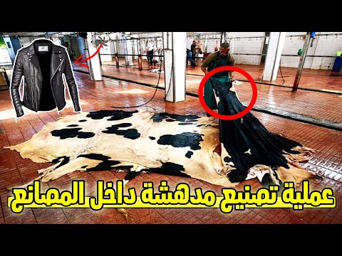 شاهد مراحل تحويل جلود البقر إلى جلد قابل للاستخدام الصناعى .. تقنيات في منتهى الذكاء!!