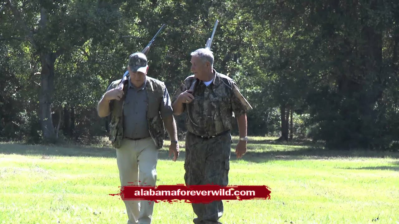 Coaches Spot | Forever Wild