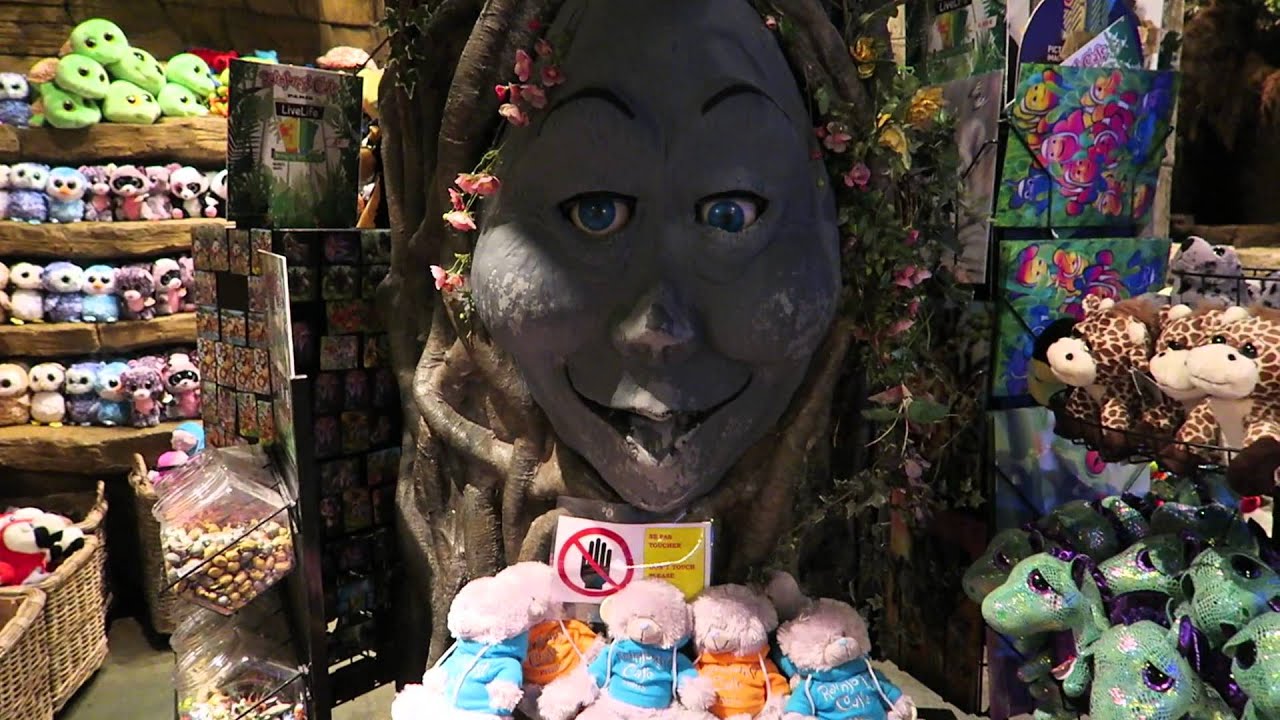 Rainforest Café Boutique at Disneyland Paris - YouTube