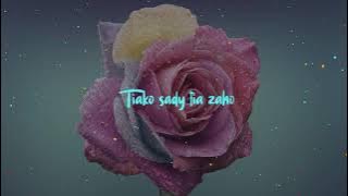 Welvi Waves - Tiako tia za ( Lyrics video )