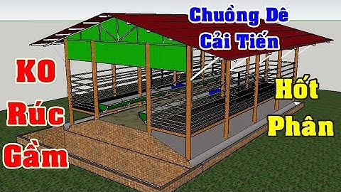Cách Làm Chuồng Nuôi Dê không chui gầm hốt phân | Khởi Nghiệp TV