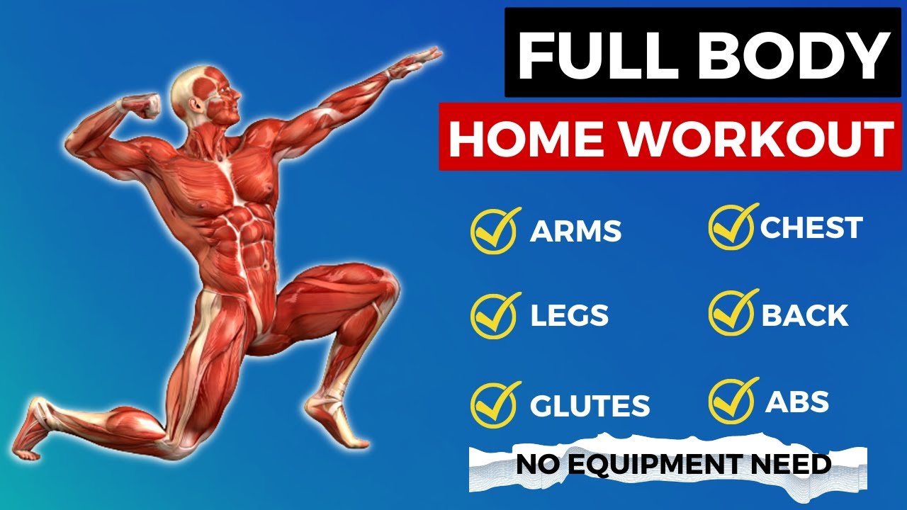 Full Body Workout At Home No Equipment For Beginners Home Workout