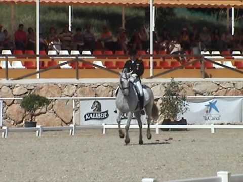 SpanishHorseMatt...  Spanish Dressage Championships 2009, Rafael Ortiz & G-Nidium Kur GP