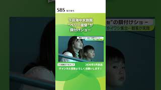 下田海中水族館で"ペリー提督"が餌付けショー #SBSNEWS #shorts