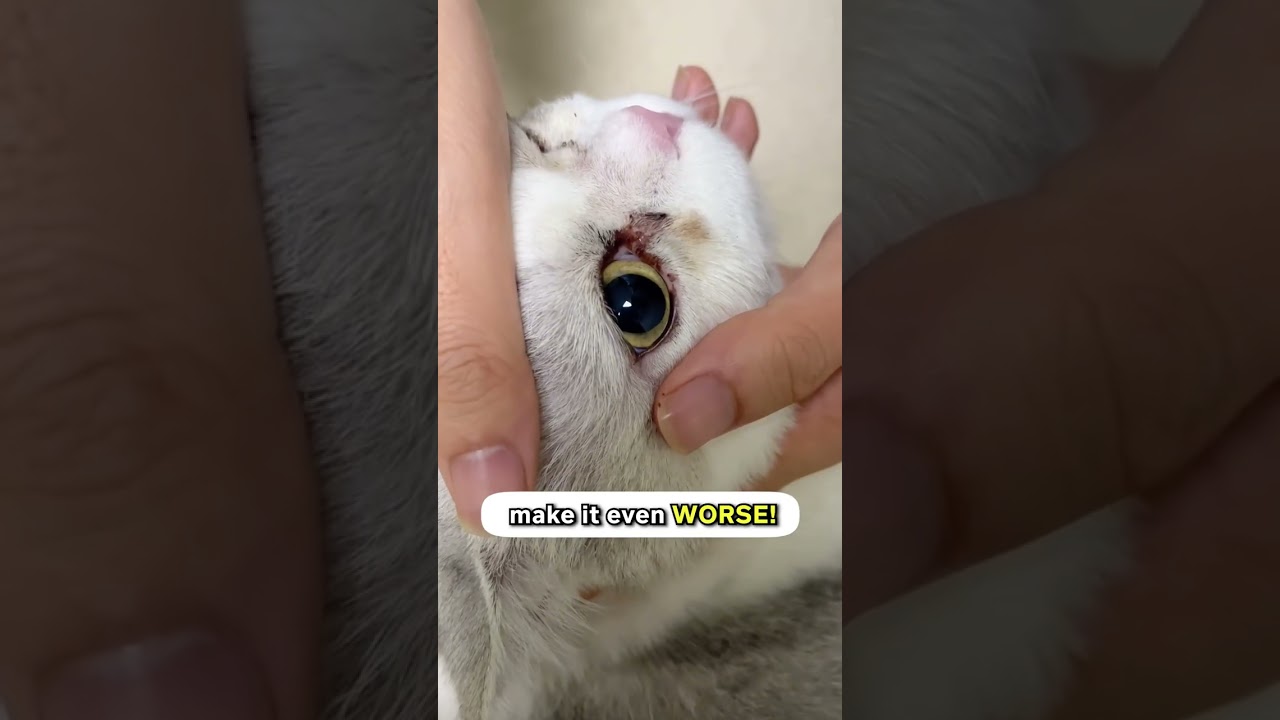 Don’t Use Your Fingers Please! 😢🫣