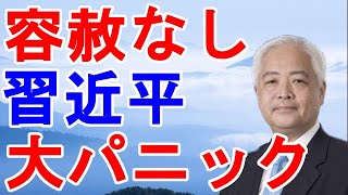 藤井厳喜　容赦なし　習近平　大パニック