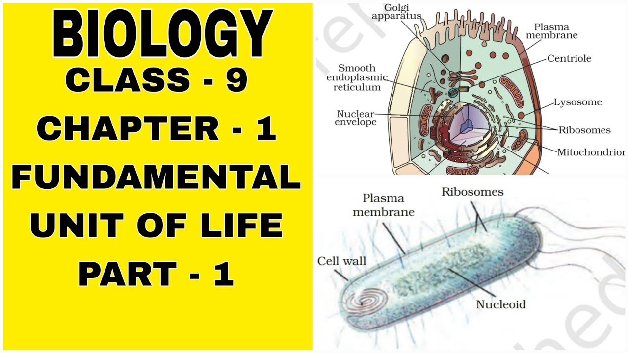 CLASS-9, CHAPTER-1, FUNDAMENTAL UNIT OF LIFE #BIOLOGY #SCIENCE - YouTube