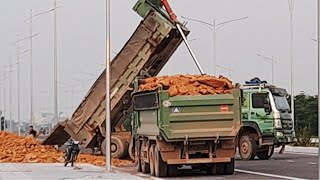Xe ô tô 4 trục bánh.