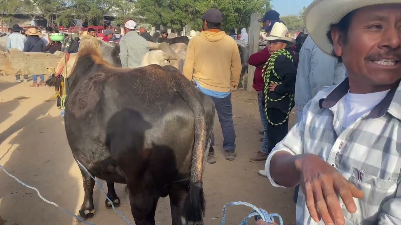 El BARATILLO DE SANANTONINO CASTILLO VELASCO OCOTAN OAXACA 2/7/2025