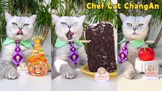 🤤Make Delicious Desserts And Juicy Fruits With Me!🍅|Cat Cooking Food|Cute And Funny Cat
