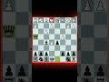Zurich Gambit Chess Chesslive Checkmate Chessshorts