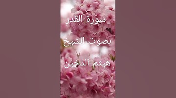 سورة القدر بصوت الشيخ هيثم الدخين #قران_كريم #تلاوة_خاشعة #راحة_نفسية #متابعة_لايك #اكسبلور #ترند