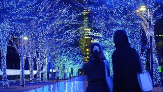 渋谷を彩る青色の光