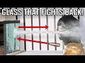 This Glass Fights Back For You! - Ballistic High-Speed