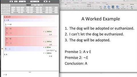Negation Intro Basics Tutorial