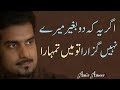 Agar ye keh do bagair mere nahi guzara | Amir Ameer Poetry | Romantic Urdu Ghazal