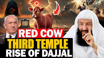 De Rode Koe, de Derde Tempel en de Opkomst van Dajjal — Zijn we dichtbij de Laatste Profetieën? |...