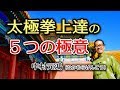 【薬膳/中医学/気功/健康養生】太極拳/中村げんこう