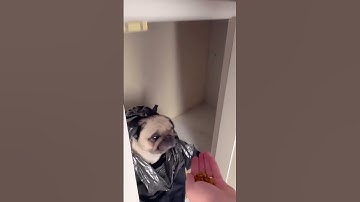eco-friendly trash