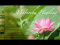 マリンバの響きに包まれる|ヒーリングミュージック healing music|癒し 自然音 |睡眠|60分 ※ヘッドホン・イヤホン・外部スピーカー推奨
