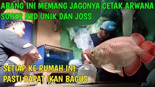 Abang ini memang jagonya cetak ikan arwana super red unik dan bagus,skill nya tak diragukan lagi