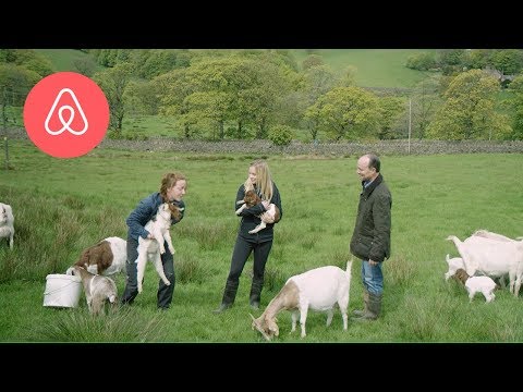 Video: Airbnb Og 23ogMe Familie Rejse Program