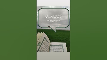 مقتطفات من  #سورة_الإسراء بصوت #ماهرالمعيقلي