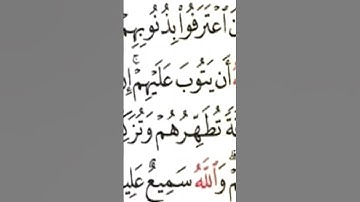 القارئ: أنس المالك #تلاوة #آية #القرآن_الكريم