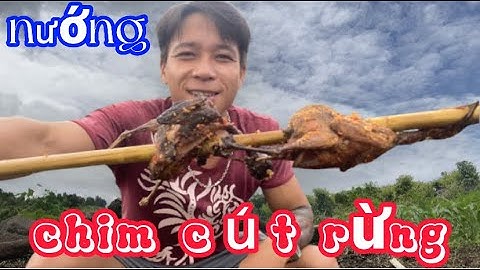 Bẫy Chim Cút Và Nướng Chim Cút Rừng | Ăn Ngon Hết Sẩy
