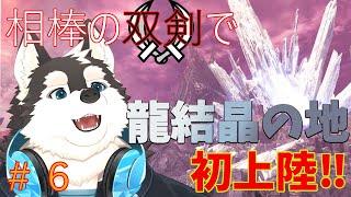 【ゲーム配信】相棒の双剣で新大陸に踏み込む！！