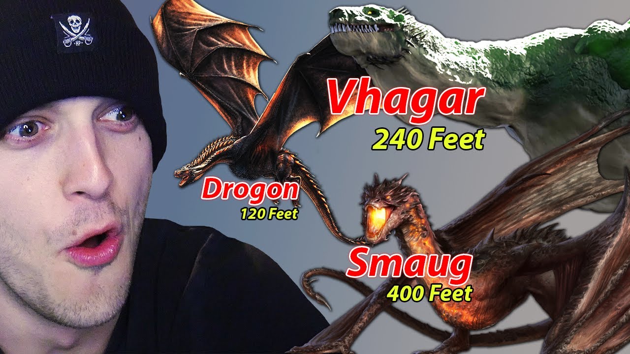 Height comparison: Smaug vs human