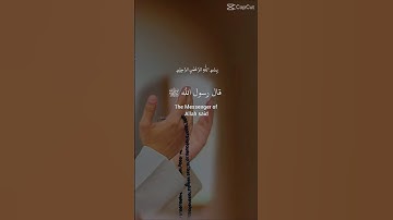 #quran #المصحف #تلاوة_خاشعة #الرحمن #القرآن_الكريم #راحة_نفسية