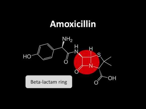 Video: Hvordan drikker man co-amoxiclav?