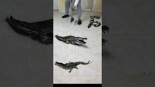 wow 😱 very Dangerous crocodile 🐊🐍 Drawing 🐊 👈#shorts #shortsvideo #amazing #drawing #short