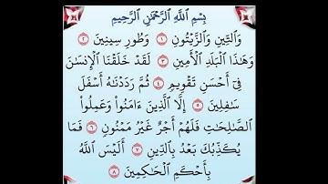 سورة التين، بصوت الشيخ ماهر المعيقلي...