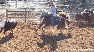 Miss Smooth Express***For info, price, etc., go to our website*** Valley View Ranch