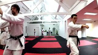 We come to the Dojo for cuddles...🤣