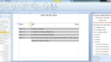 Module 4 Part  5:  Remove  LIST OF PLATES  on UiTM Thesis Template