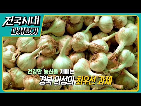 경북 의성 마늘 사랑해요, 한라산 산야초를 만나다 [다시보기]