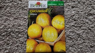 How to grow Lemon cucumber seeds