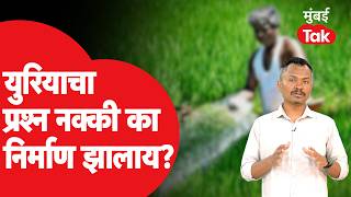 Maharashtra UREA Issue: शेतकऱ्यांवर तीन आघात! युरिया संकट का निर्माण झालंय? सगळं समजून घ्या