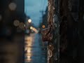 A coin purse nailed to a telephone pole. #shortsfeed #shortvideo #shorts #weird