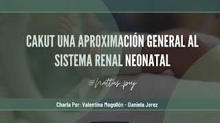 CAKUT  Una aproximación general al sistema renal neonatal.