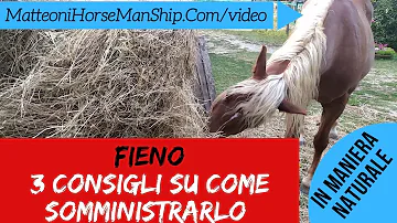 Come far fare la cacca al cavallo?