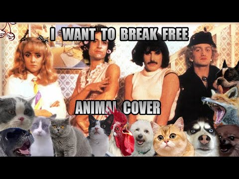 Queen - I Want To Break Free Animal Cover