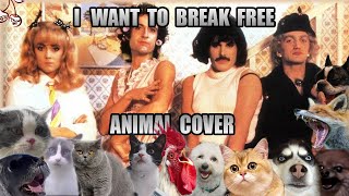 Queen - I Want To Break Free (Animal Cover) by Insane Cherry 30,999 views 5 months ago 1 minute, 41 seconds