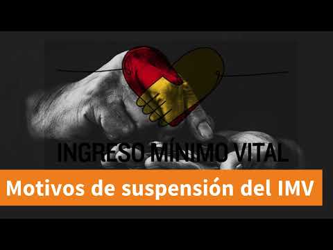 Ingreso Mínimo Vital  Motivos de suspensión según la Seguridad Social