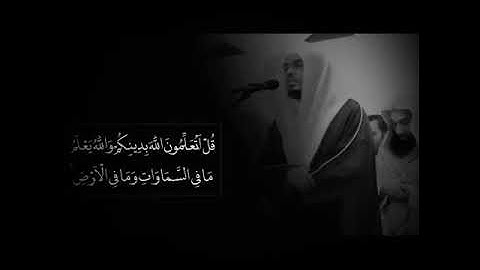 تلاوة خاشعة مؤثرة جدا🍃 الشيخ ياسر الدوسري،🍃 حالات واتس اب 🍃