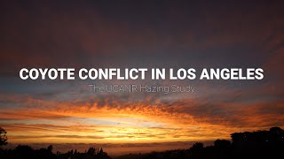 Coyote Conflict in Los Angeles - The UCANR Hazing Study (Documentary)